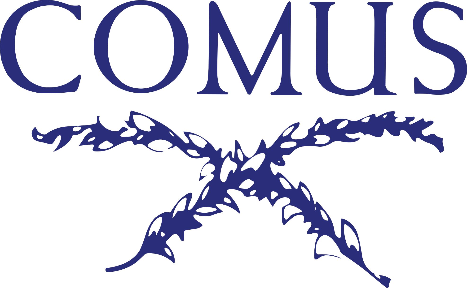 /images/brand/comus-international.png