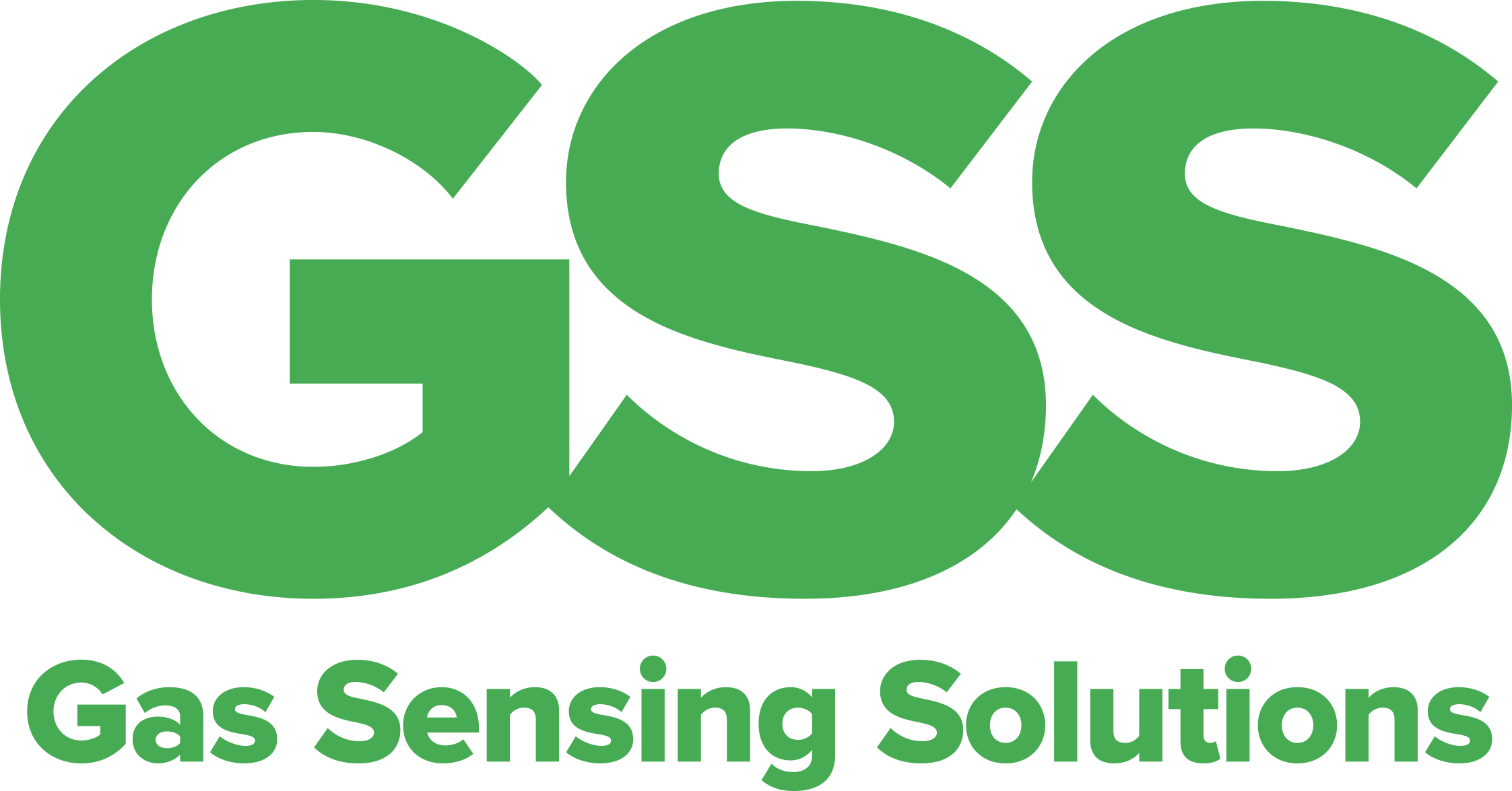 /images/brand/gas-sensing-solutions.png