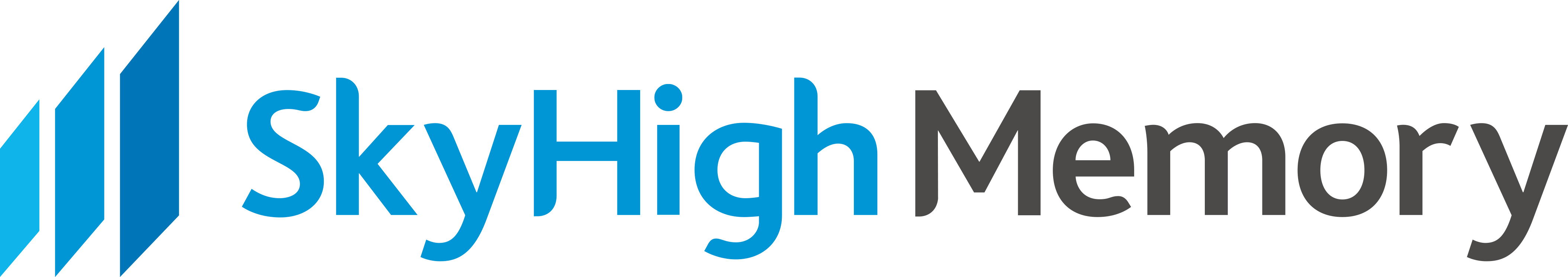/images/brand/skyhigh-memory.png